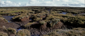 Irish peat bog